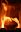 Teaserbild