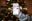 Teaserbild